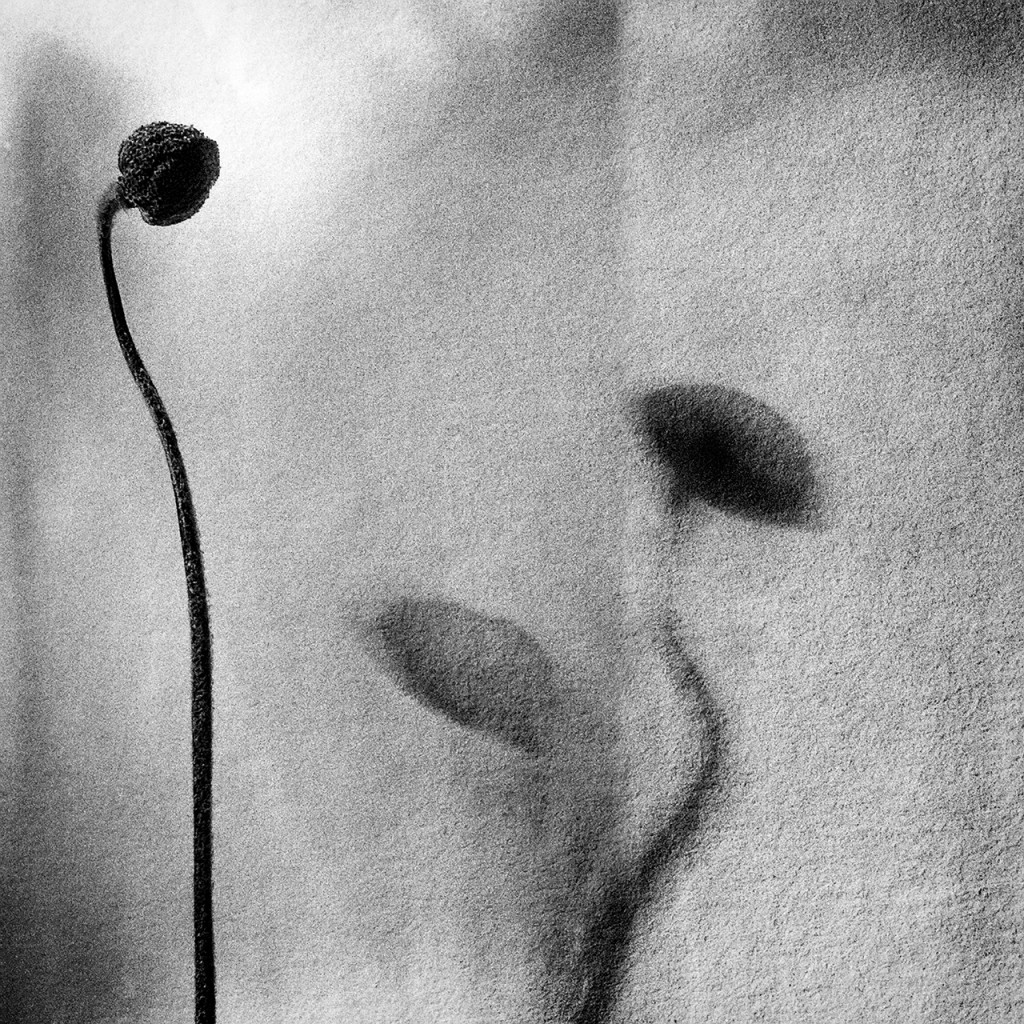Shadows on the wall